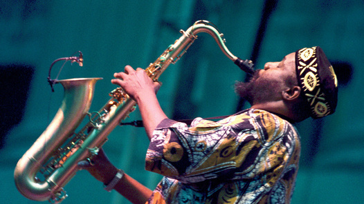 Emma Goldman Political Thinking In The Streets Kathy E Ferguson