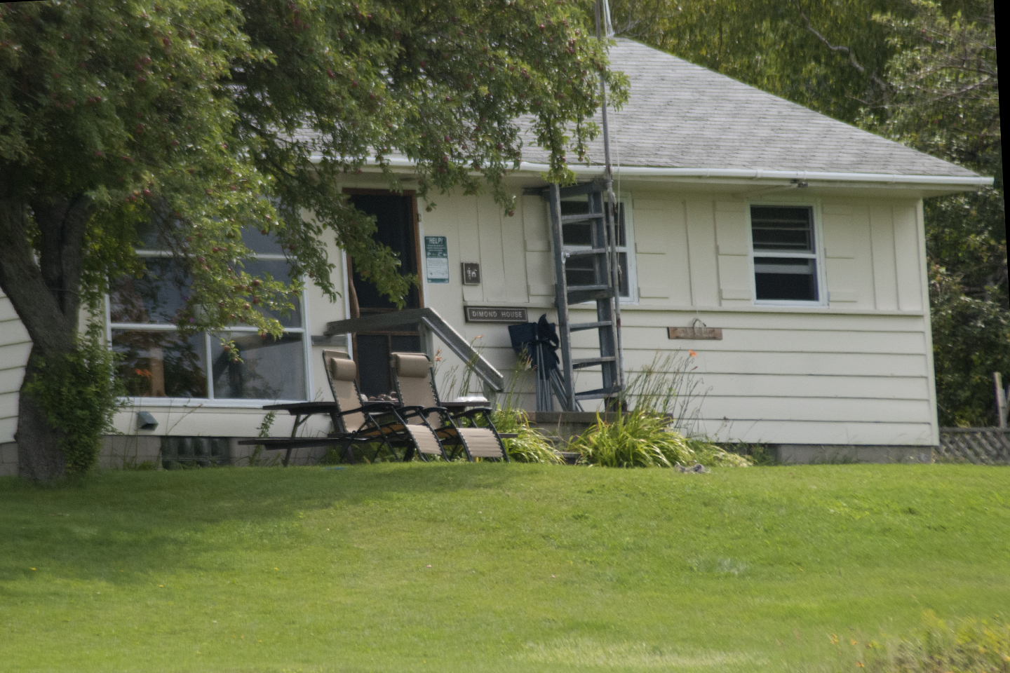 2013 MICHIGAN SUMMER REUNION The Dimond House 19891997