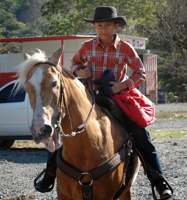 Horse Talk Panama Panama Horses Getting Ready for Boquete Cabalgata