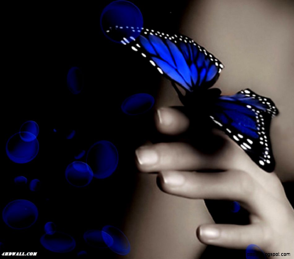 BeautifulMobileHDWallpaper