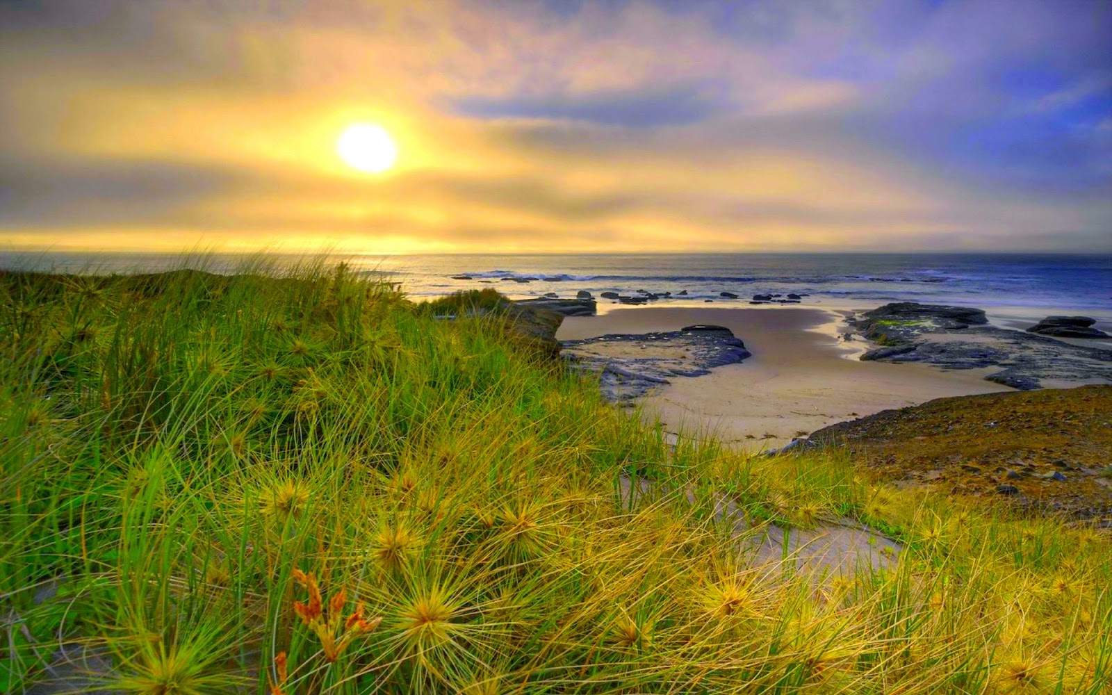wallpaper-of-Good-morning wallpaper-of-Good-morning