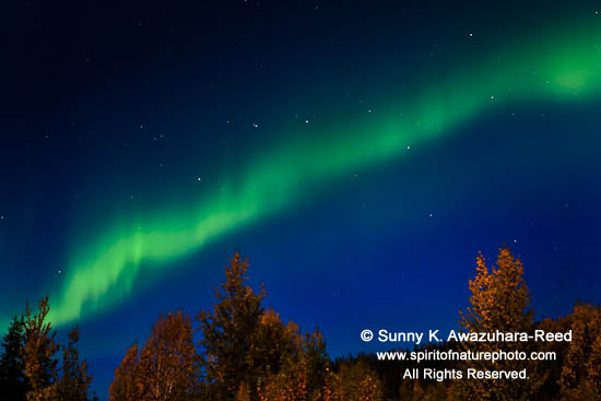 Color Out Of Space Streaming Canada Sunny in Wilderness: Autumn Aurora