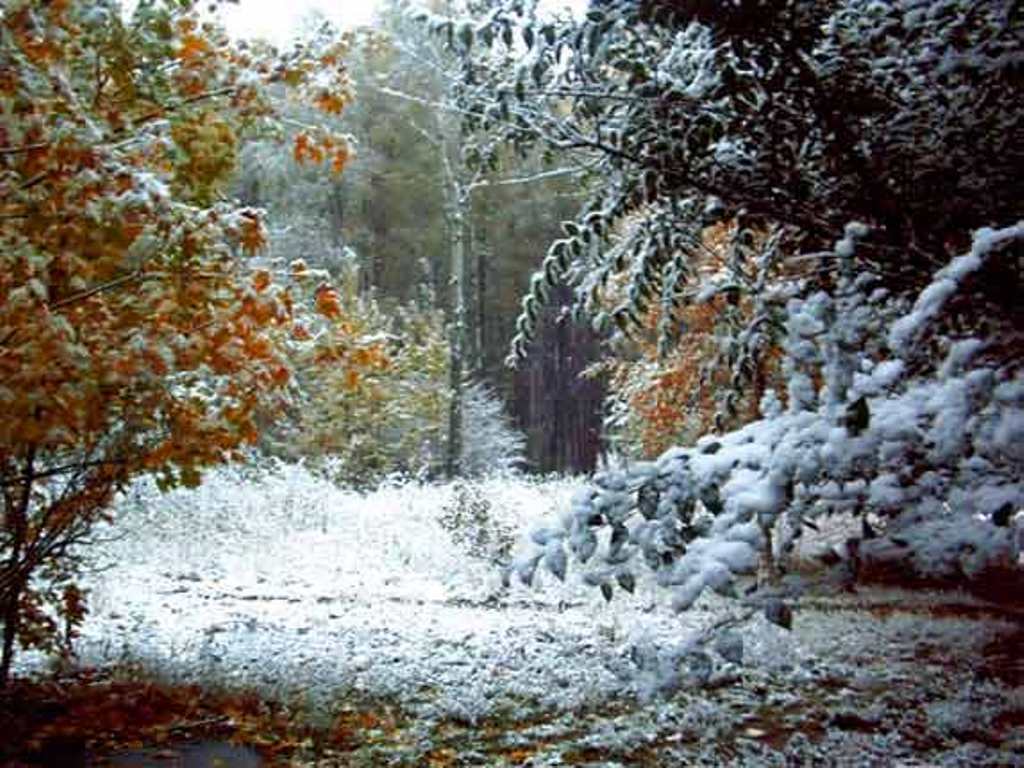 Поздняя осень и наступление зимы. Покров в природе первый снег. Покров встреча осени с зимой. Первый снежок Покров. Покров день на природе.