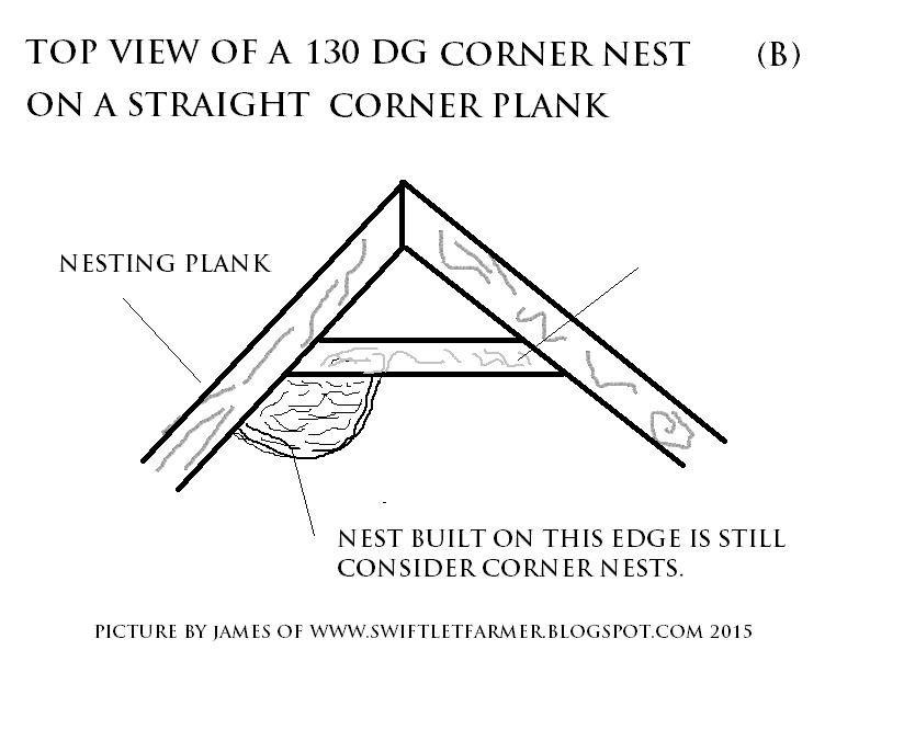 Swiftlet Farming Swiftlets Farming Equipments, Edible Birds Nest and