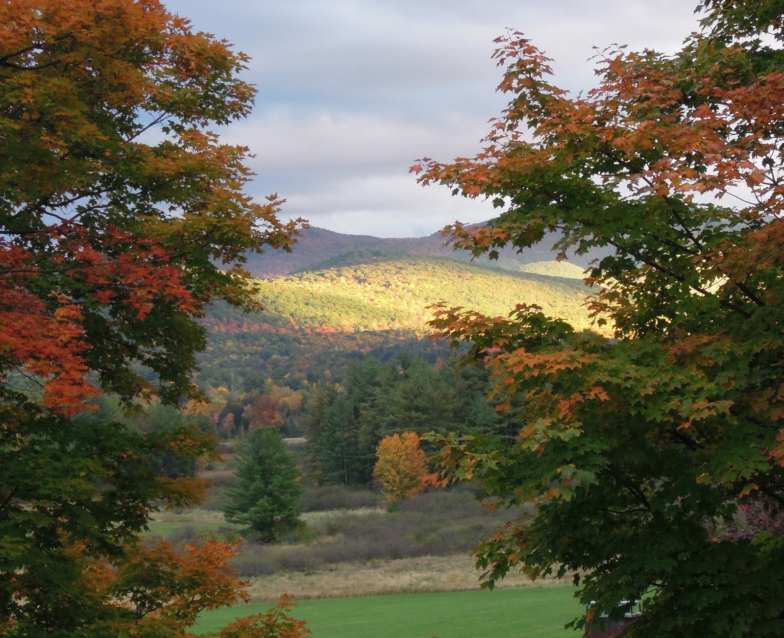 Bucolic Vermont