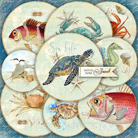 https://www.etsy.com/listing/385843616/sea-life-25-inch-circles-set-of-12?ga_search_query=sea+life&ref=shop_items_search_2
