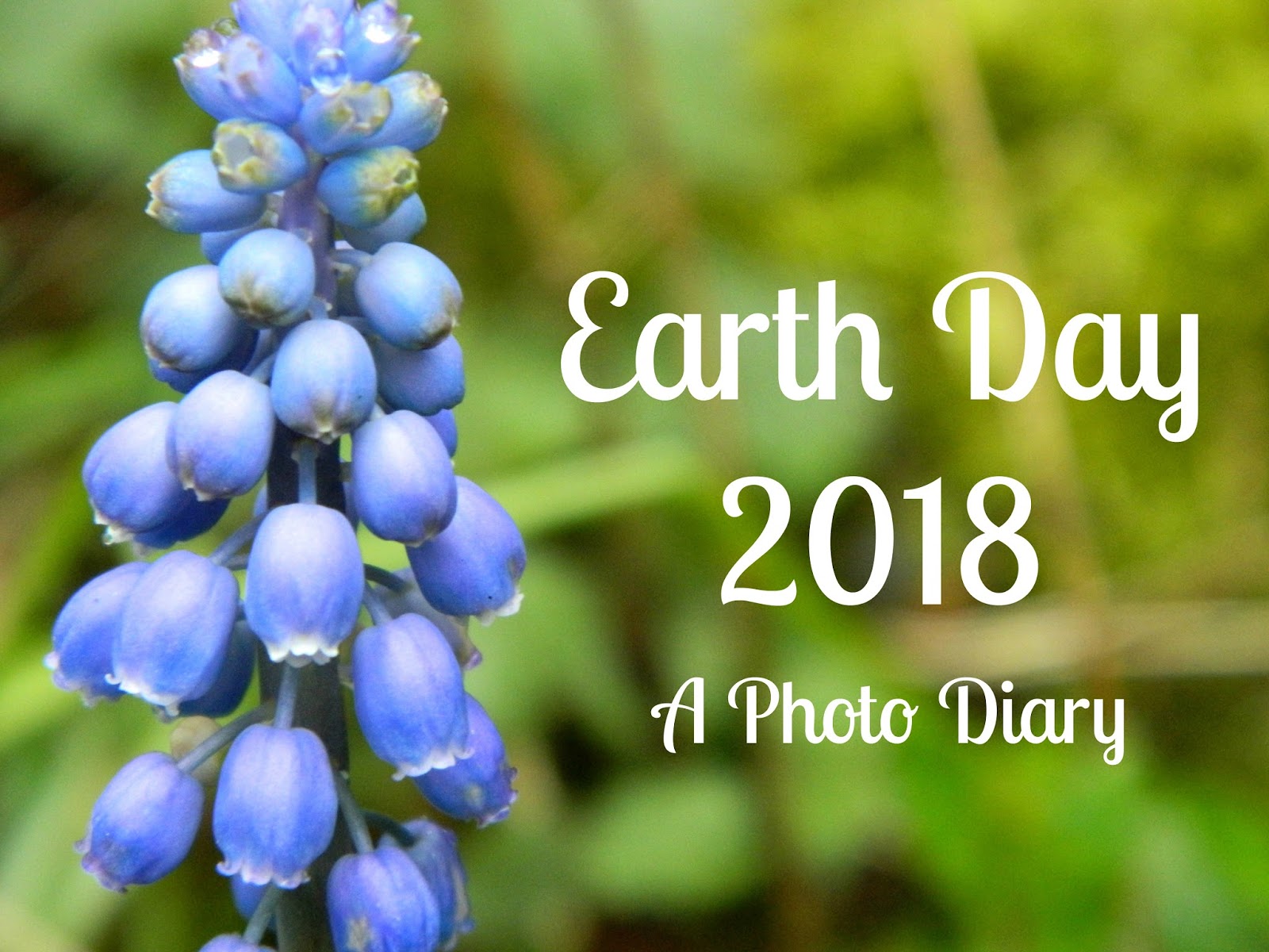 Earth Day Wallpapers 34 Images Dodowallpaper
