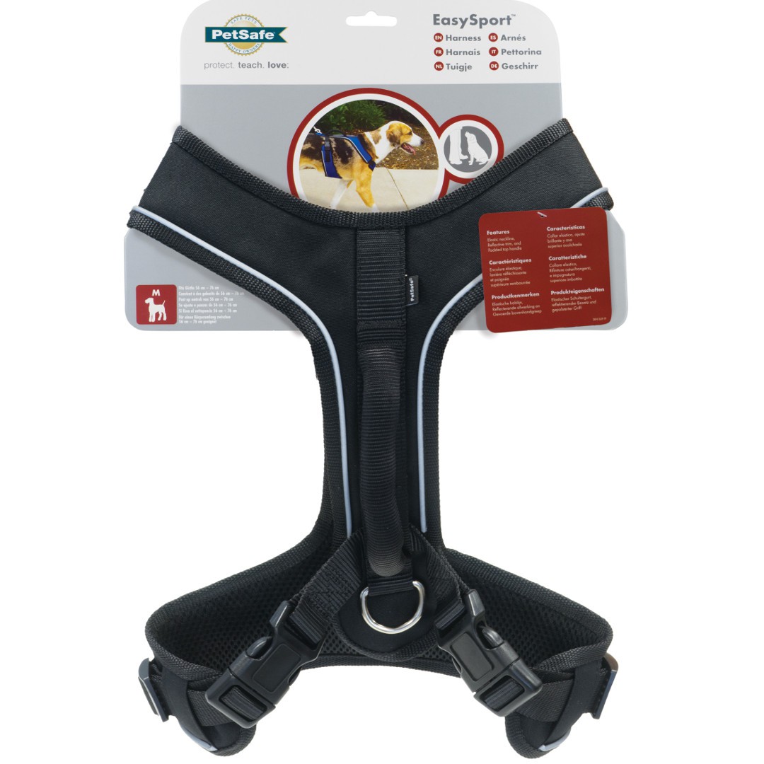 Raising My Boys: Walk Your Dog with Ease - PetSafe's Raising My Boys: Walk Your Dog with Ease - PetSafe's