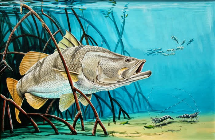 BENIH SIAKAP: Pembekal Benih Ikan Siakap