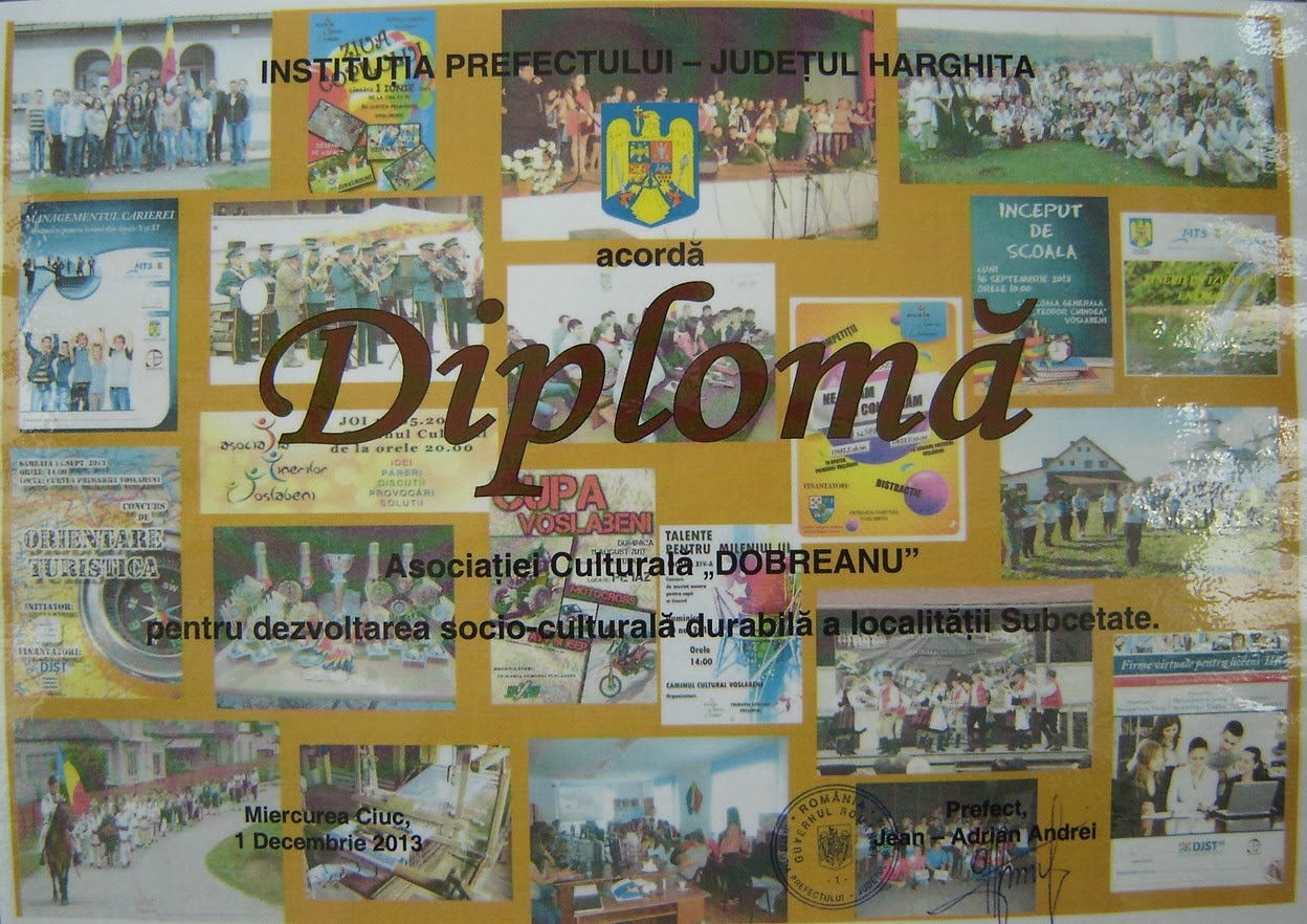 DIPLOMĂ -2013