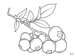 Blueberry coloring page 9