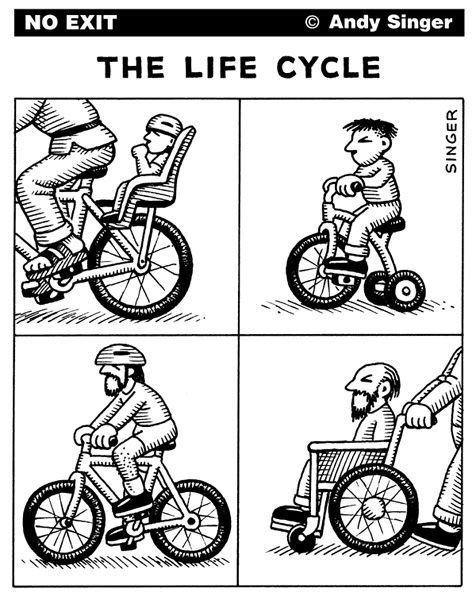 
EVOLUTION
