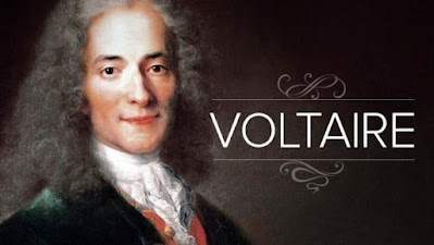 Top 20 Voltaire Status in English 2022