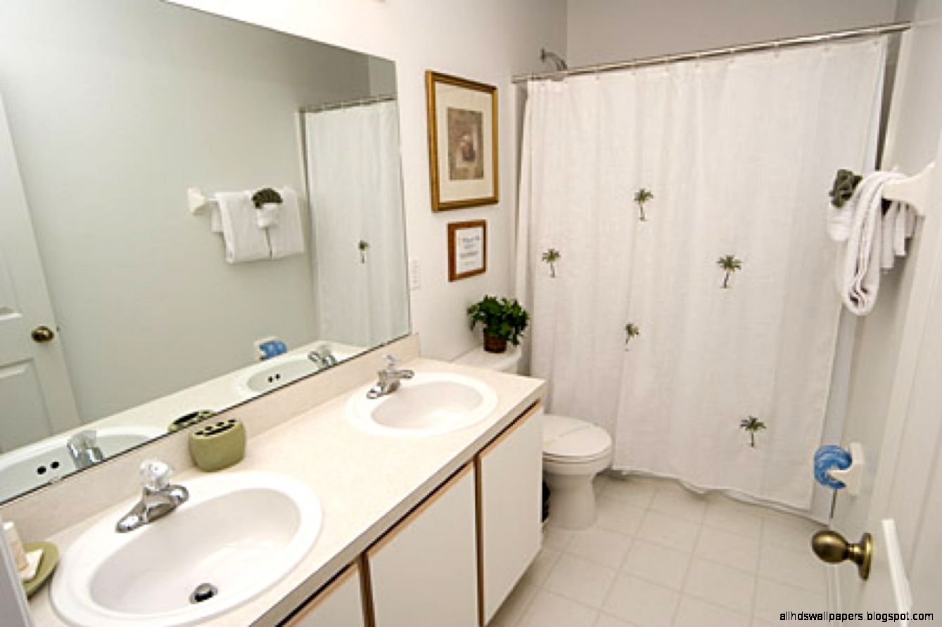 Small Bathroom Decorating Ideas
