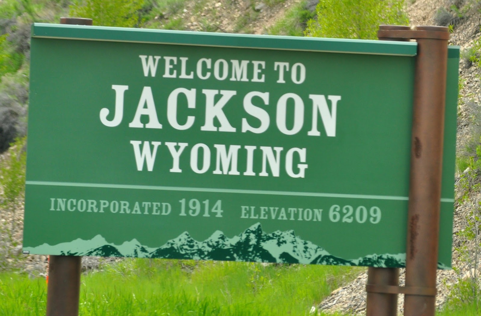 Weeping Willow Art, and me loved ones: Jackson Hole, Wyoming