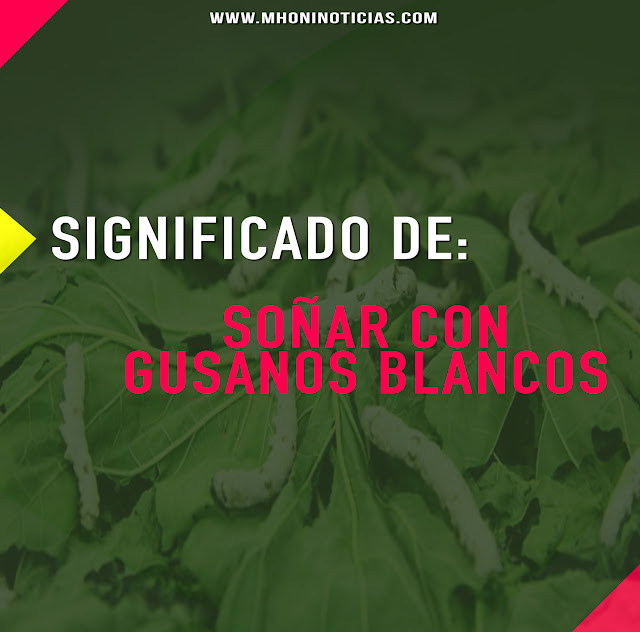 SOÑAR CON GUSANOS BLANCOS | Mhoni Vidente