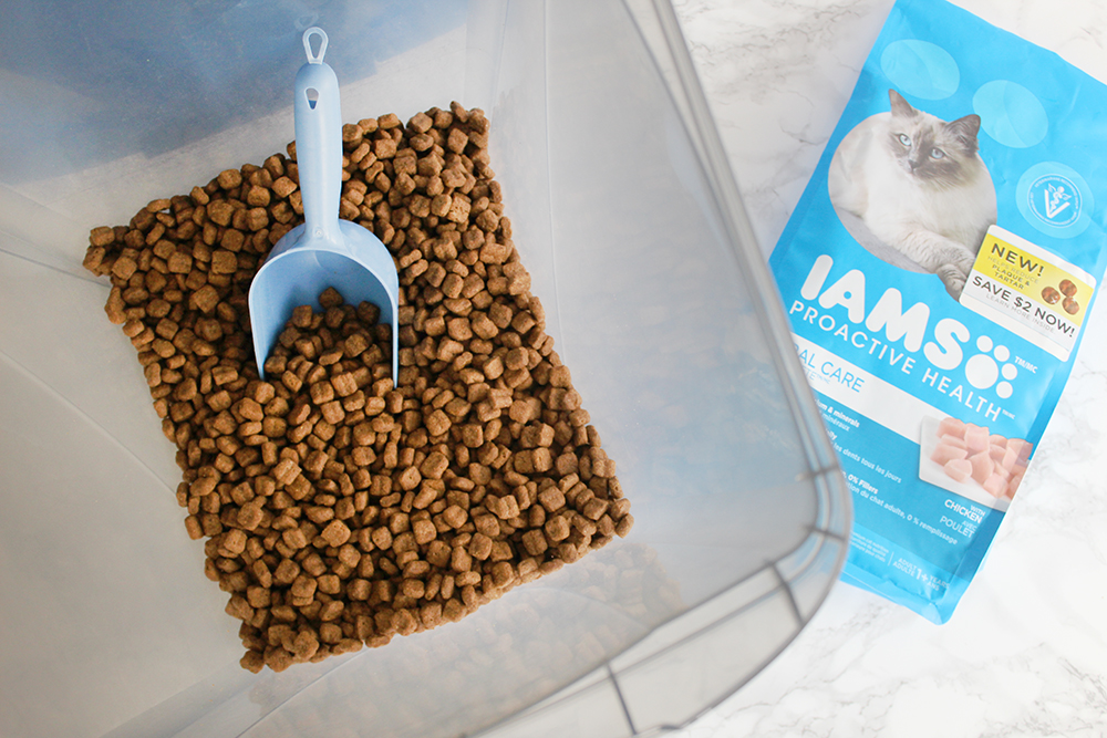 Southern Mom Loves How to Safely Transition Your Cat to a New Food