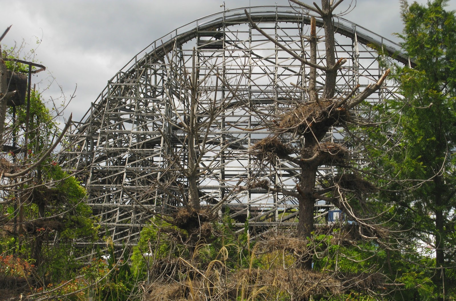 Trail Life: Mai 2013