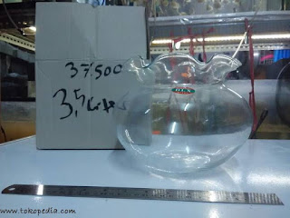 Harga Aquarium Mini Bulat Lengkap
