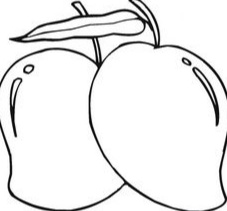Sketsa Buah Mangga Sketsa Buah Mangga