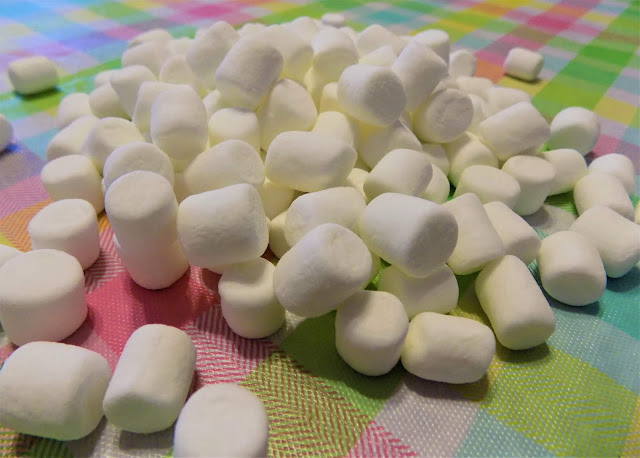 This is a picture of miniature marshmallows