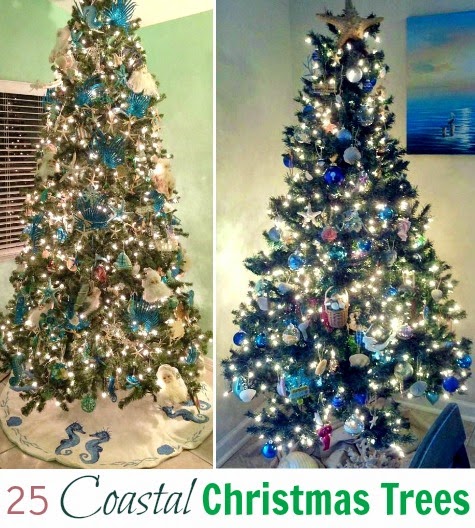 coastal Christmas trees