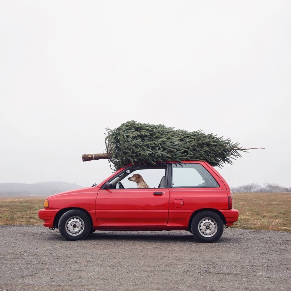 Psycho Actif, le blog de Christophe André: Noël, sapins, voiture Psycho Actif, le blog de Christophe André: Noël, sapins, voiture