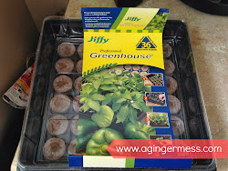 A Ginger Mess: Jiffy Greenhouse Review