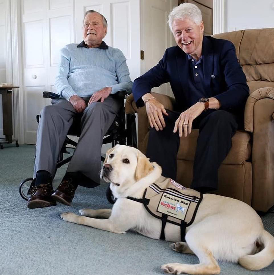 Royal Family Around the World H.W. Bush's service dog Sully in