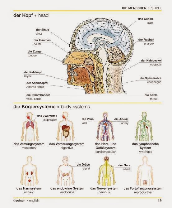 German For All Deutsch Fur Alle Die Menschen People French Language Lessons Learn German French Language