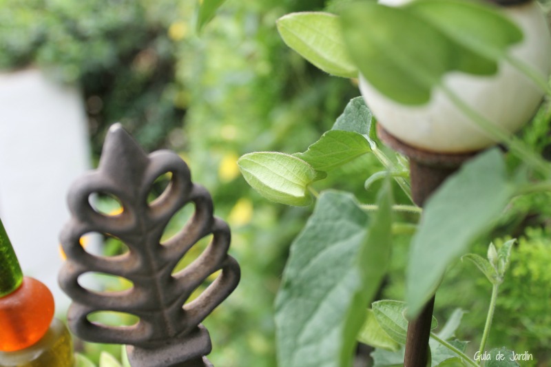 Soportes para plantas y tutores de hierro para el jardín - Guia de jardin