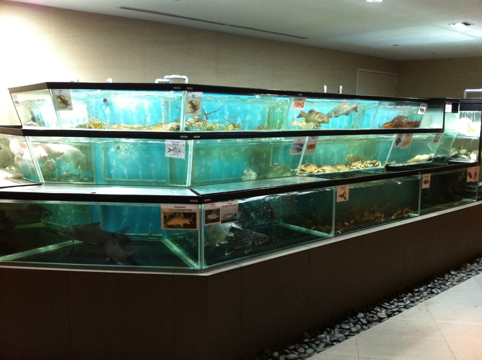 FoodieFC Majestic Bay Seafood Restaurant (Gardens By The Bay)