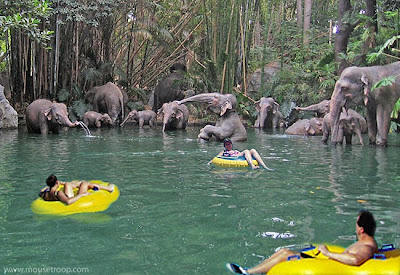 Jungle Cruise Disneyland Innertubes Limted Time Magic elephants