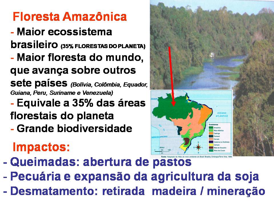 JR GEO: Ecossistemas brasileiros