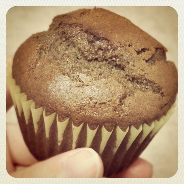 SockMonkey Sweets & Eats! Chocolate Cinnamon Muffins