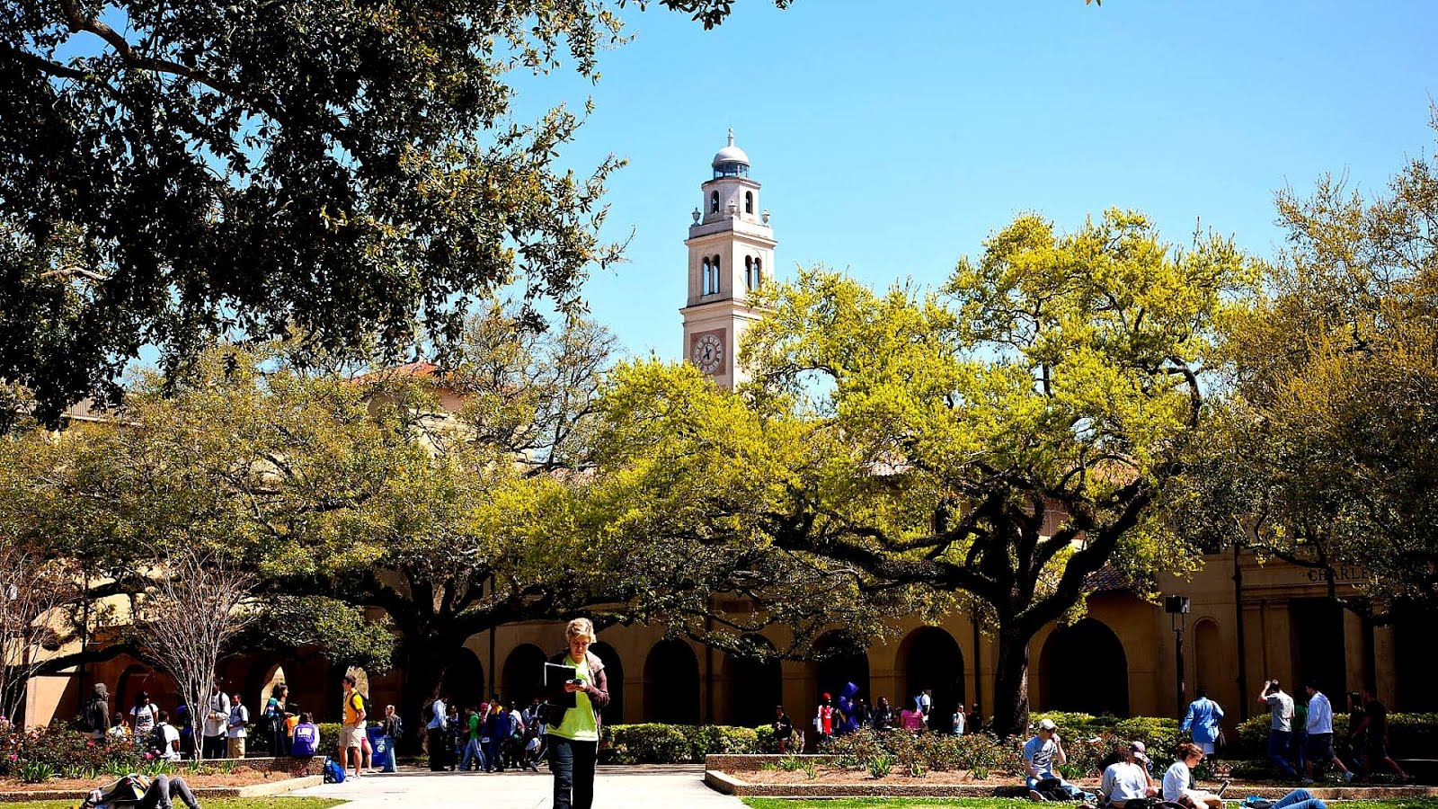 Nicholls State University College College Choices