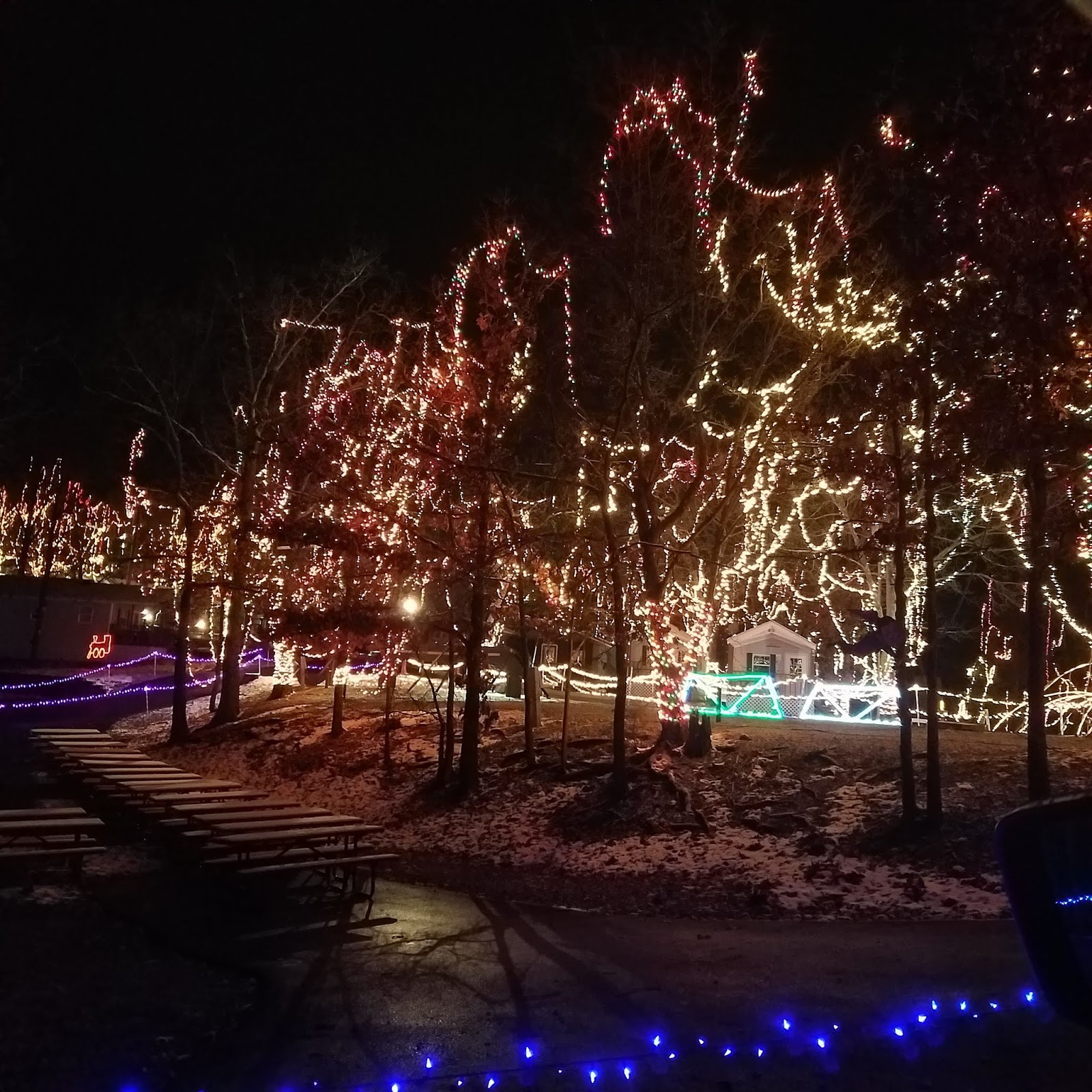 Yogi Bear Christmas Lights 