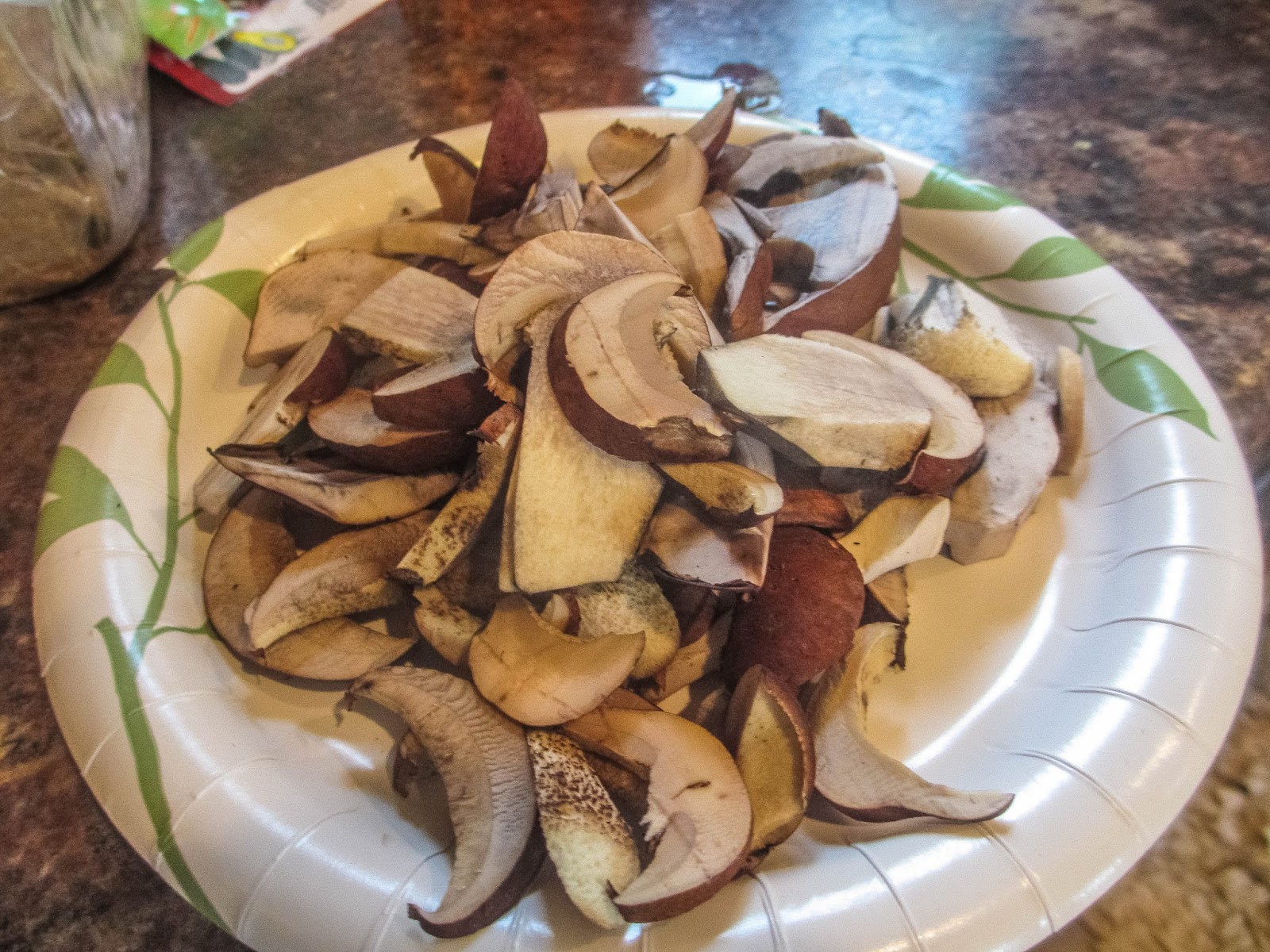 Cannundrums Hawks Wing and King Bolete Mushrooms Soup and Stir Fry