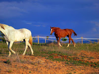 Nordeste de Segovia