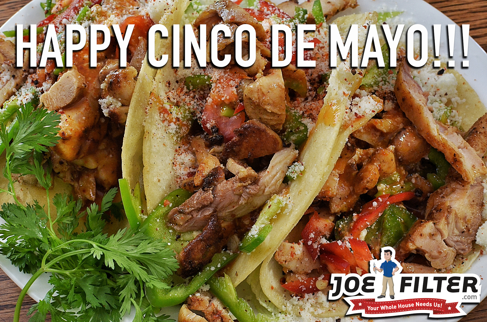 the Joe Filter blog Grilled Tequila Lime Chicken Taco Recipe!