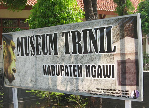 MUSEUM TRINIL NGAWI