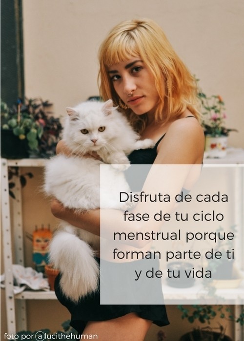 Fases del Ciclo menstrual de la mujer