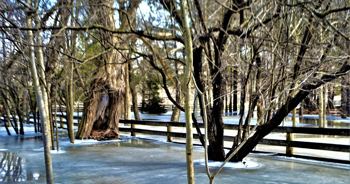 Camera on King & Aurora Keele Street and the 16th Sideroad