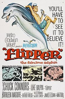 Flipper movieloversreviews.filminspector.com