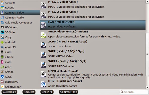 external travel drive video format