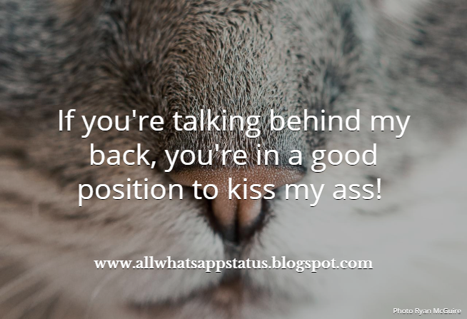 Picture Quote #47
