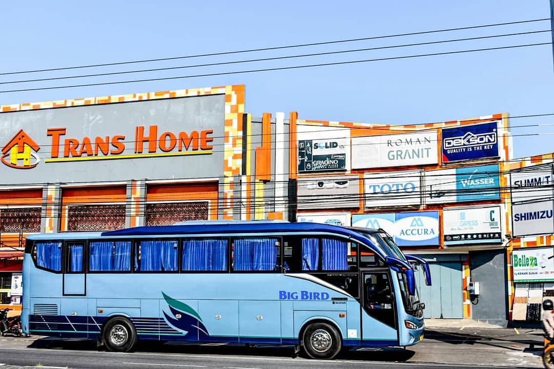 Jelajah Hong Kong dengan Nyaman: Panduan Lengkap Rental Bus Pariwisata