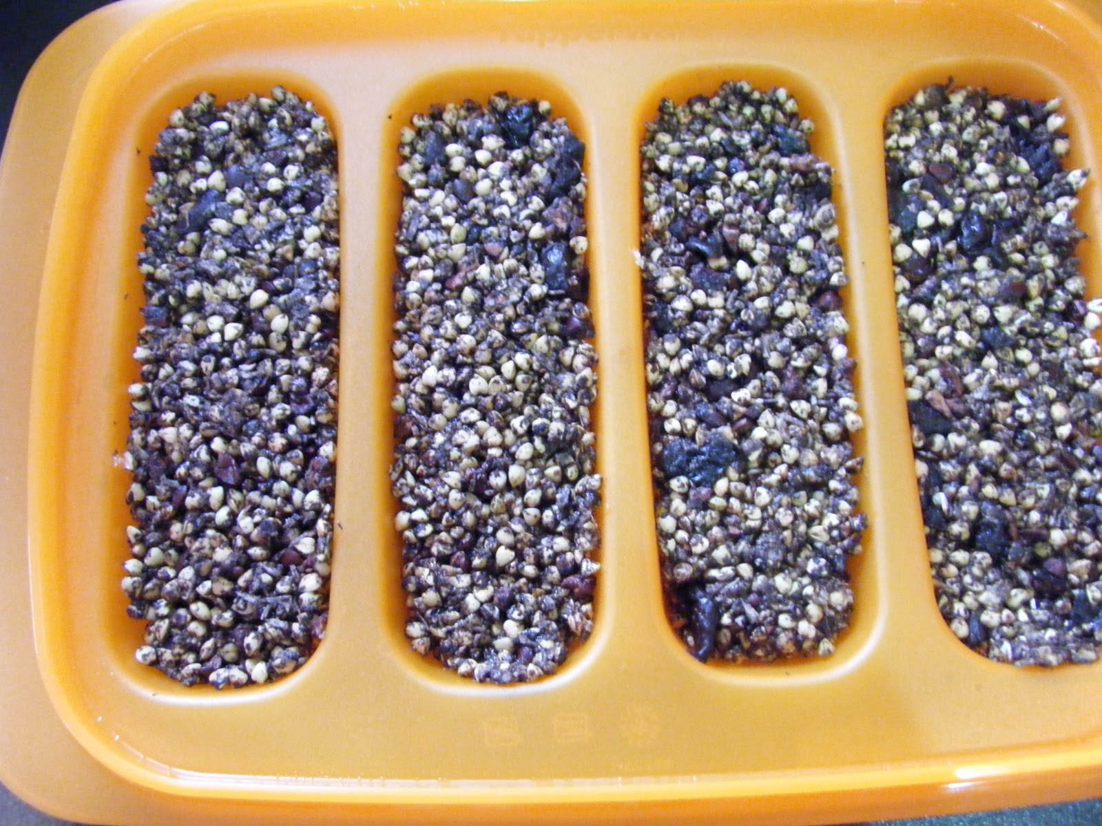 No Bake Cashew, Cacao, Coconut & Carob Buckwheat Bites