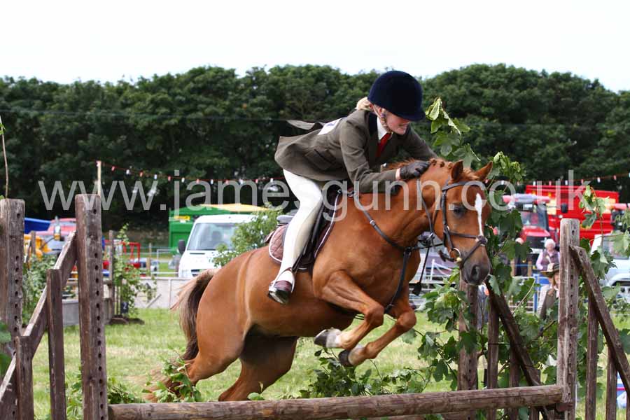 James Gunn Photography Working Hunter jumping at the Caithness Show
