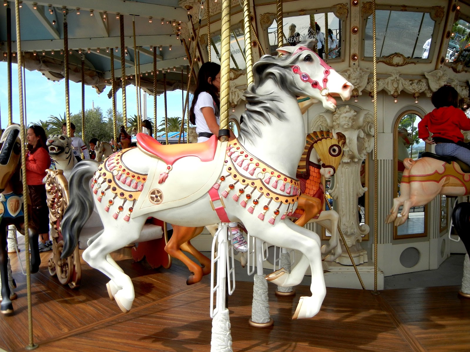 A photo, A thought............ Observation Carousel horses...............